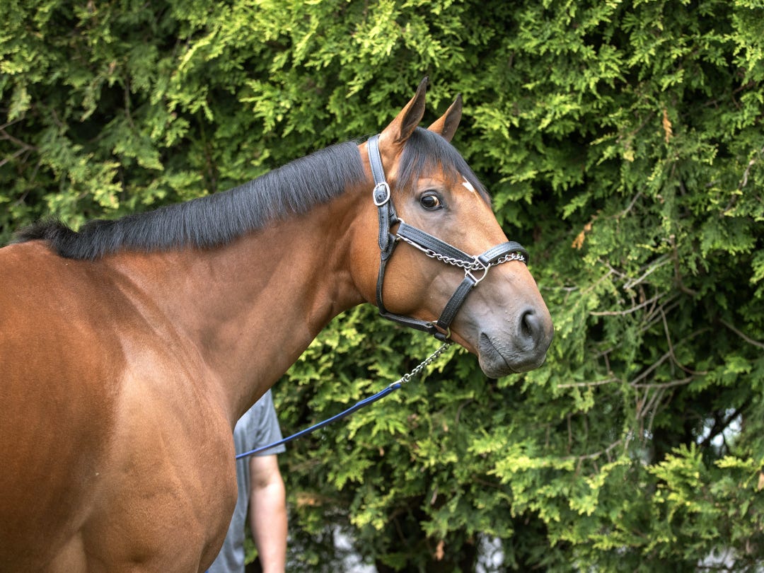 Muth at PIM May 19 2024