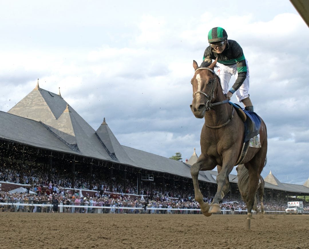 Mystik Dan (not winner) at SAR June 8 2024