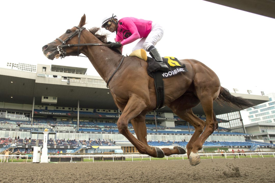 Paramount Prince wins Dominion Day at WO June 29 2024