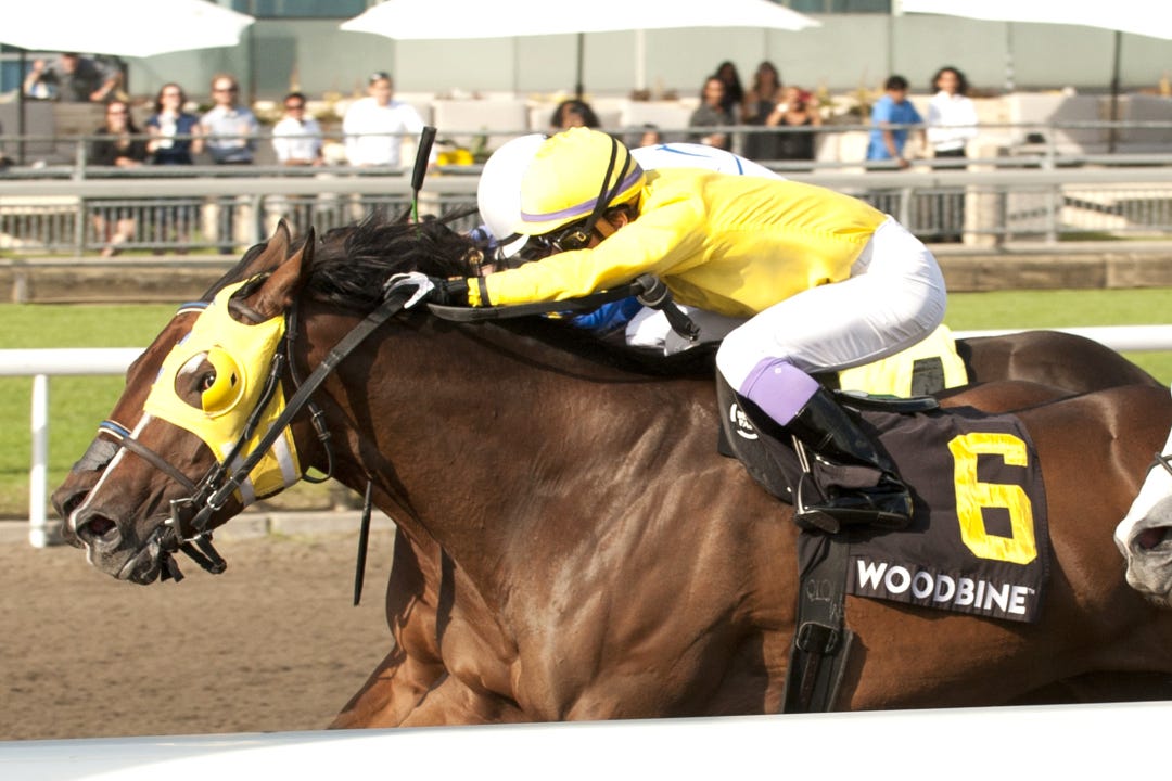 Patches O'Houlihan wins the Vigil at WO Sept 16 2023