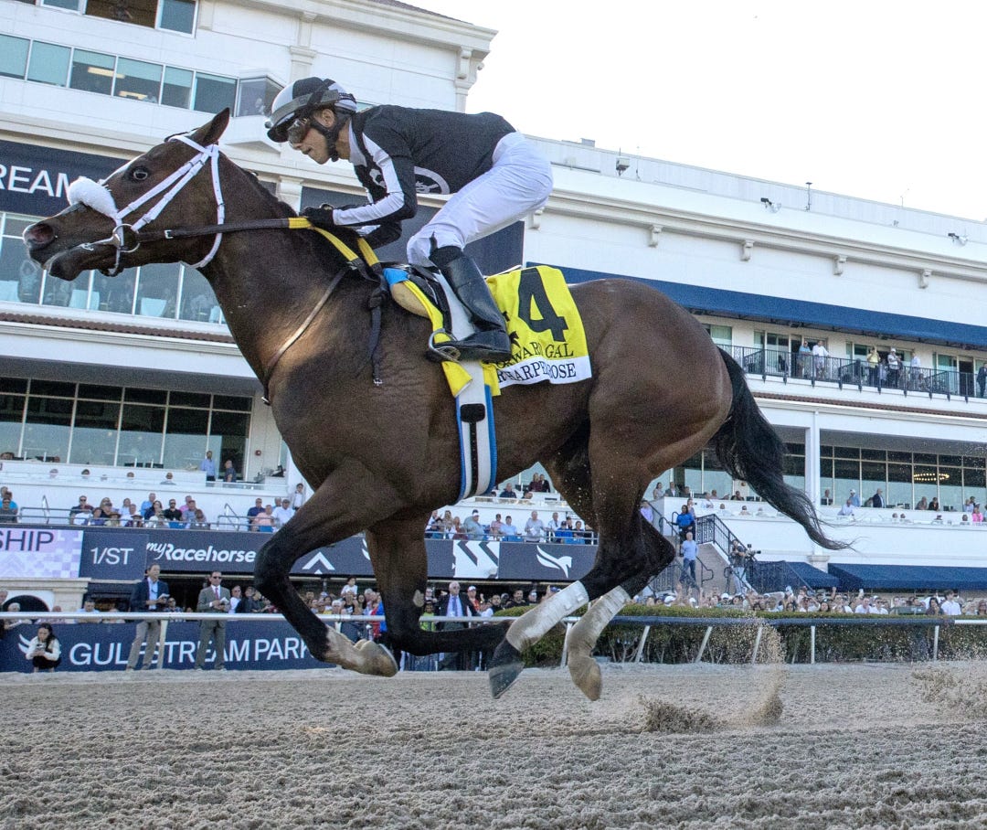 R Harper Rose wins Forward Gal at GP Feb 3 2024