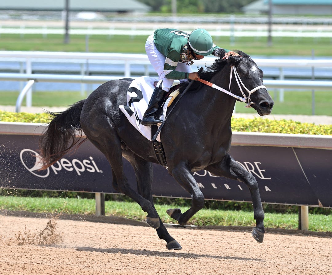 Rated by Merit wins career debut at GP July 13 2024