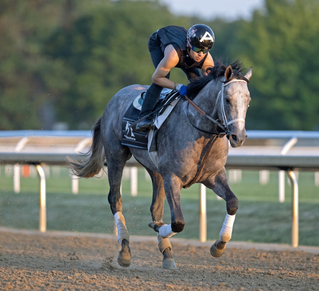 Seize the Grey trains at SAR July 13 2024