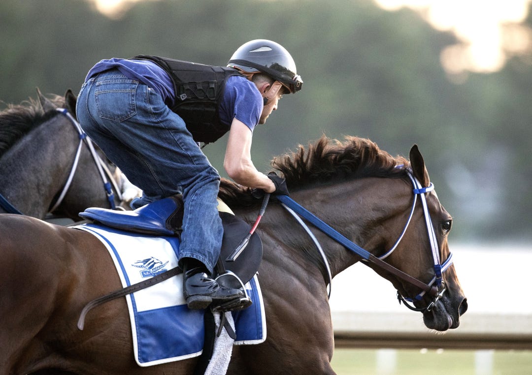 Thorpedo Anna works at SAR July 13 2024