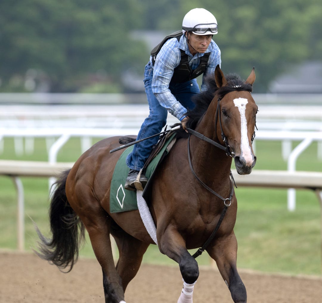 Timeout trains at SAR July 5 2024