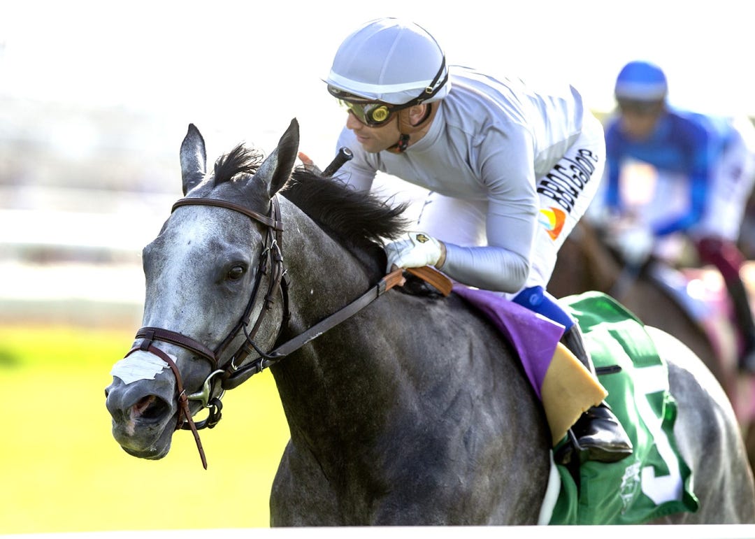 Ag Bullet wins Osunitas at DMR July 21 2024