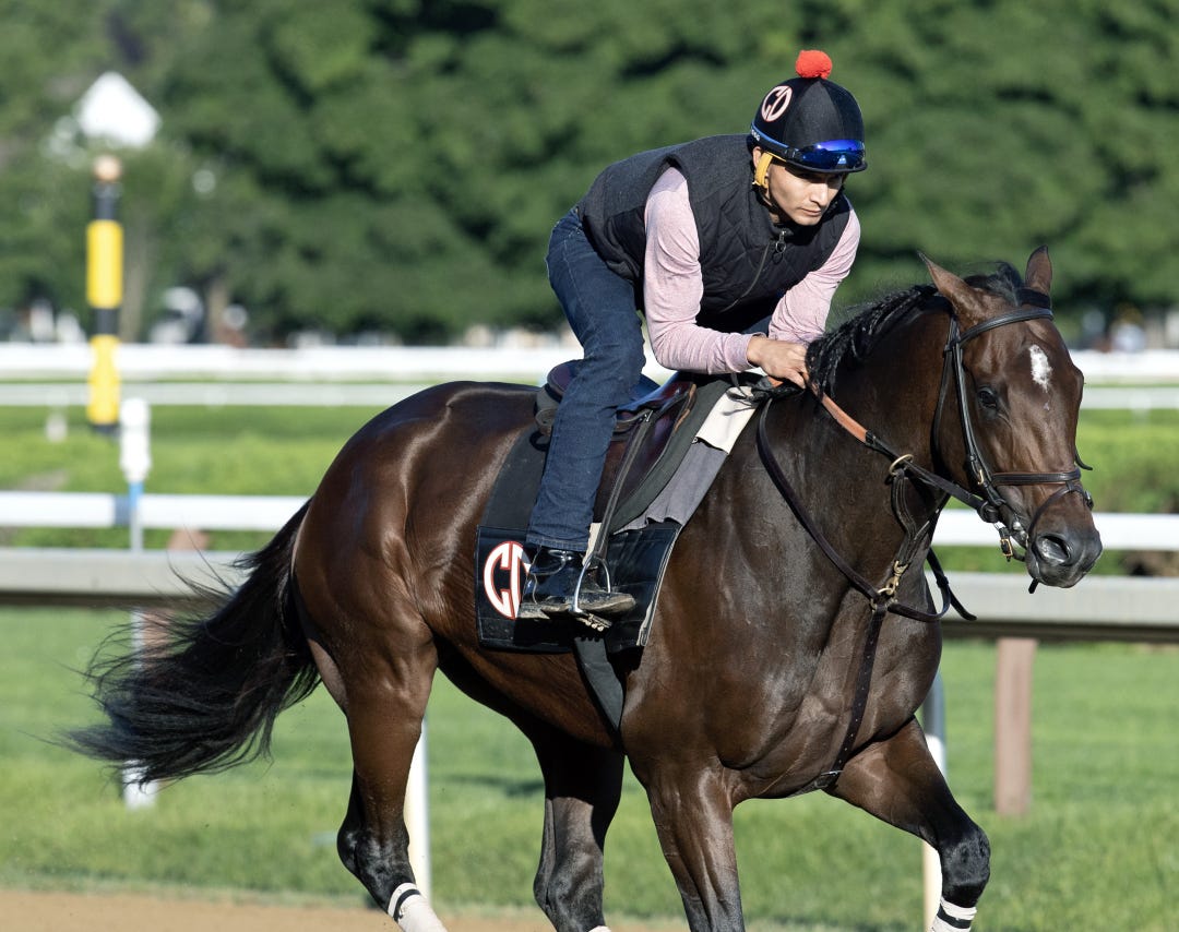 Cagliostro trains at SAR Aug 22 2024