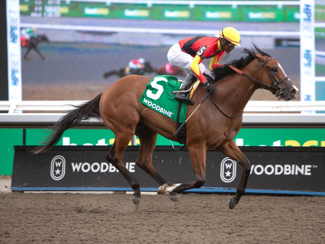 Essex Serpent wins the Marine at WO June 29 2024