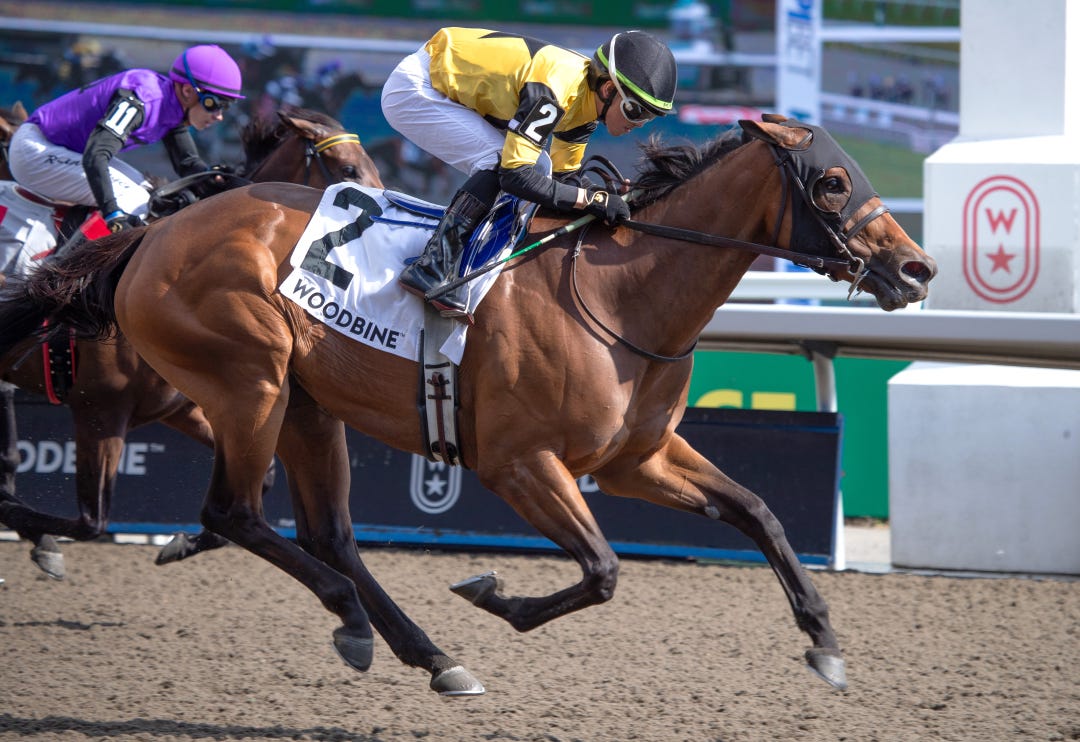 Gal in a Rush wins Hendrie at WO July 6 2024