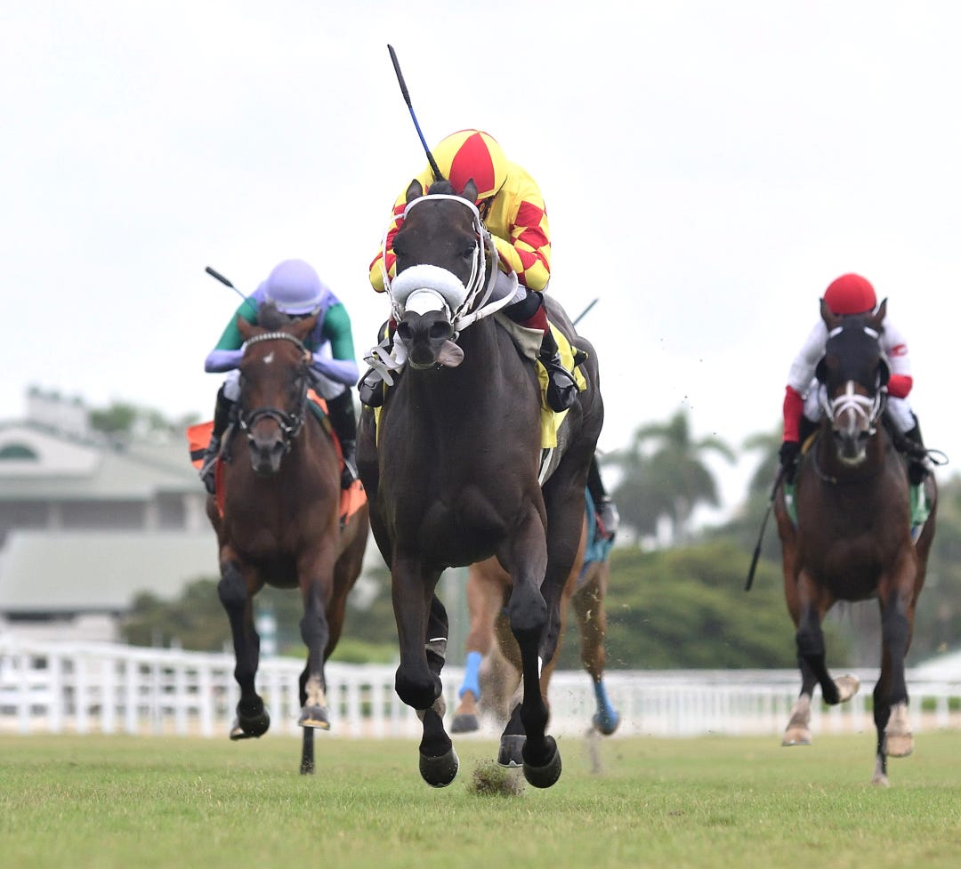 Grand Mo the First wins Bear's Den at GP Aug 3 2024