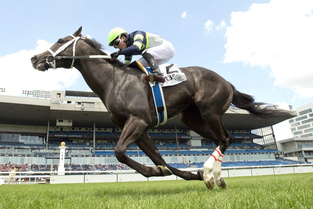 Live Lucky wins Lake Huron at WO July 7 2024