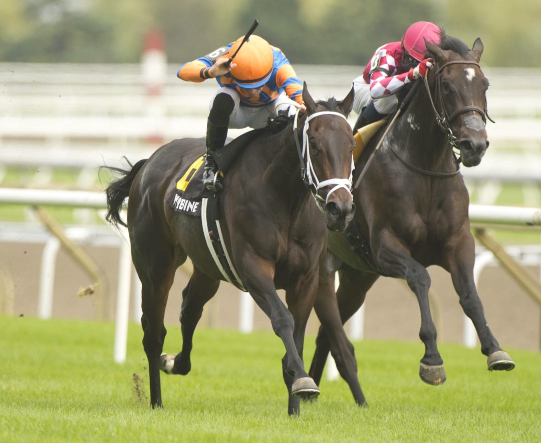 Love to Shop wins Toronto Cup Sept 3 2023