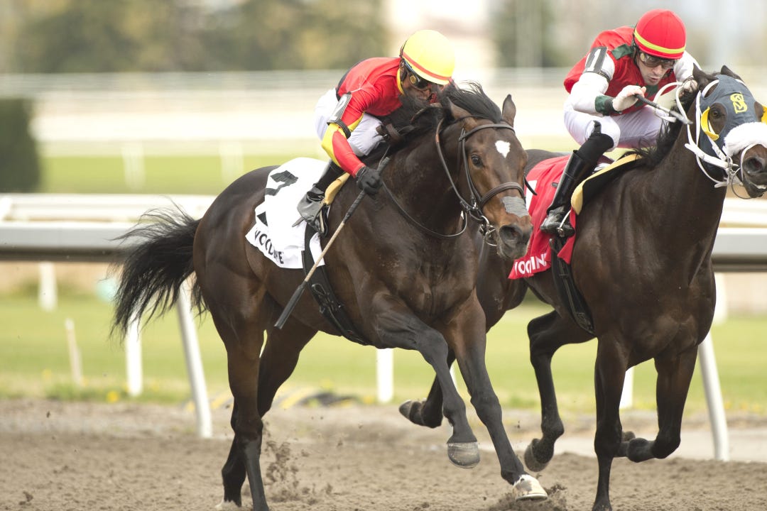 Midnight Mascot wins Woodstock at WO April 28 2024