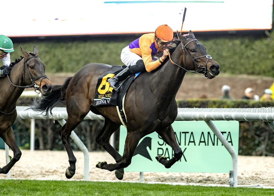 Ruby Nell wins Buena Vista at SA March 3 2024