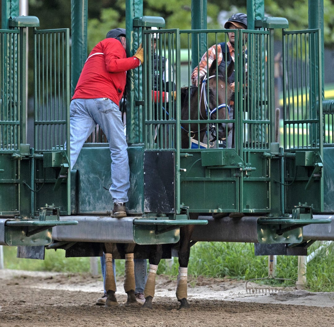 Thorpedo Anna schools in gate at SAR Aug 21 2024