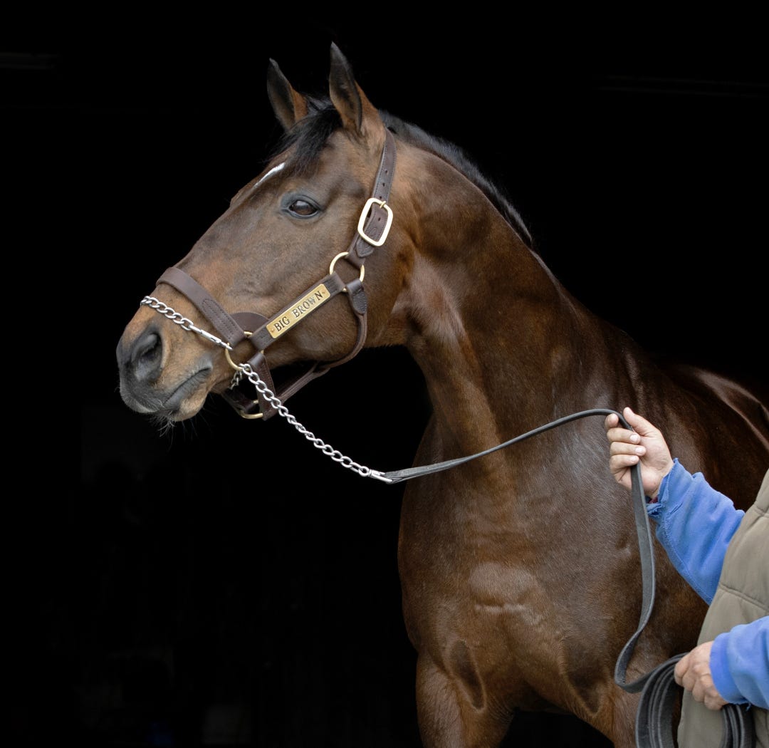 Big Brown.Birthday.Irish Hill Century Farm.April 10 2024