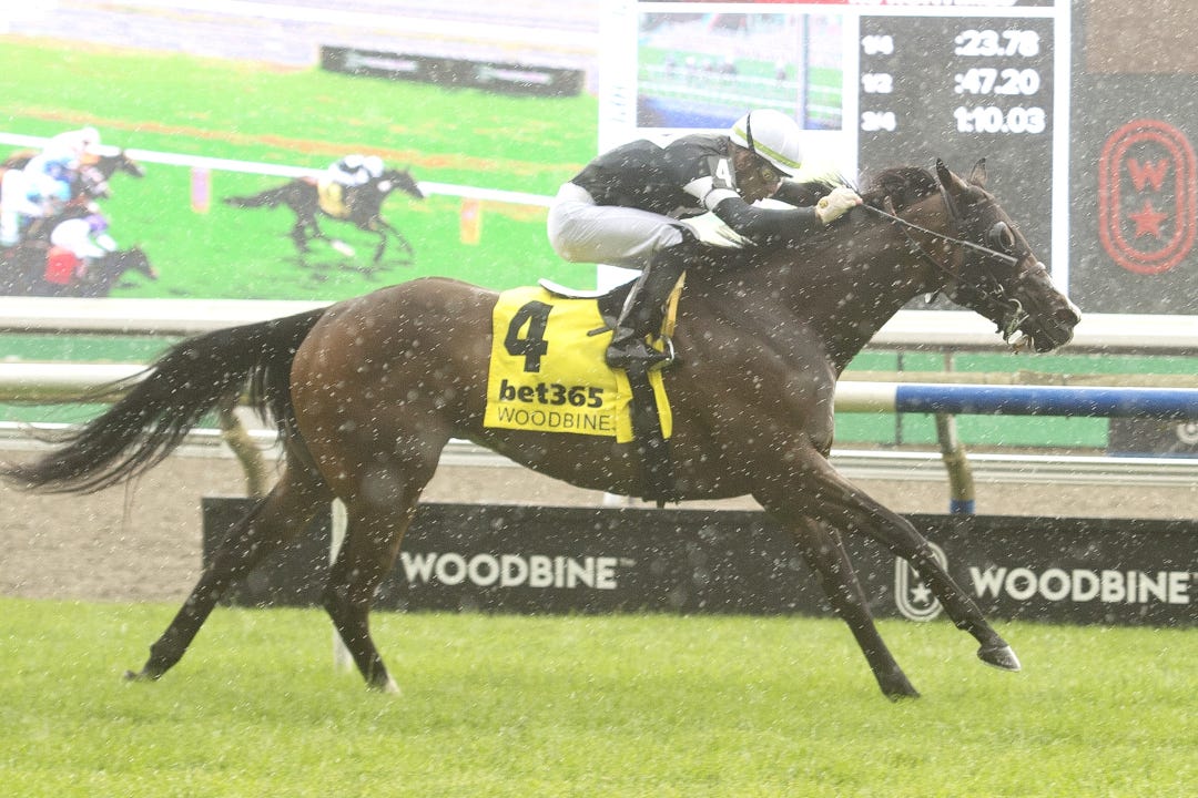 Dancing Duchess wins Alywow at WO June 22 2024