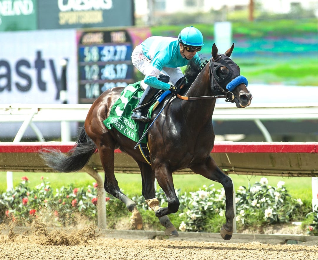 Getaway Car wins Best Pal at DMR Aug 11 2024