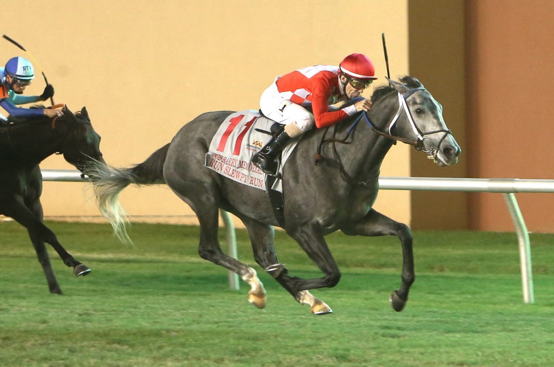 Run Slewpy Run wins Bob Barry Memorial at RP Sept 22 2023