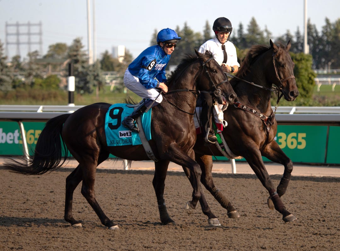 Al Qudra in post parade for Summer Stakes at WO Sept 14 2024