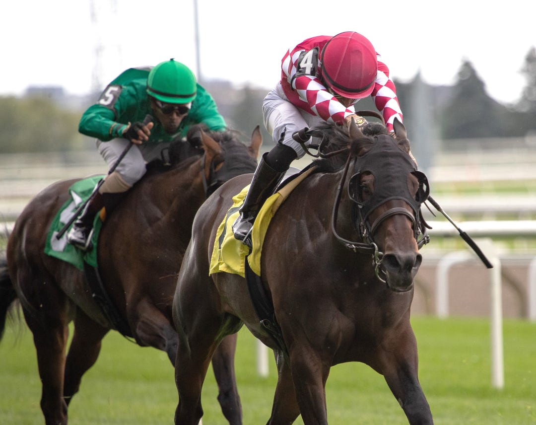 Blameless Ghost wins at WO July 6 2024