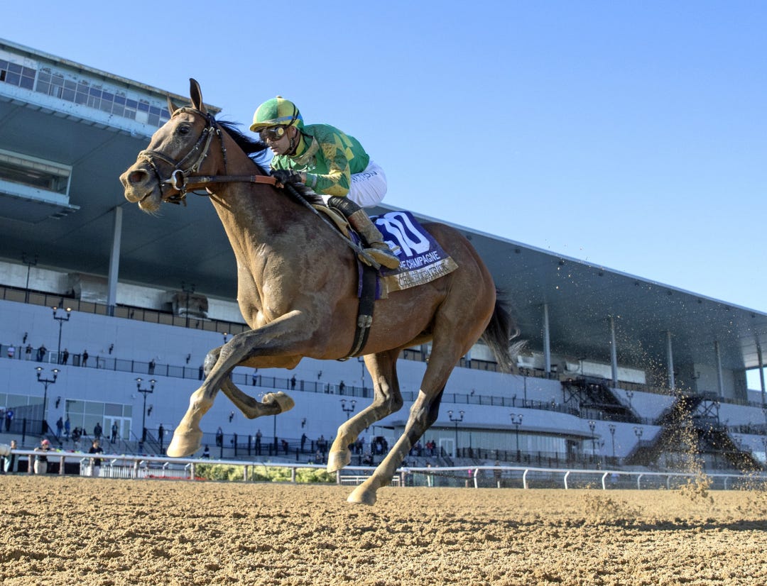 Chancer McPatrick wins Champagne at AQU Oct 5 2024