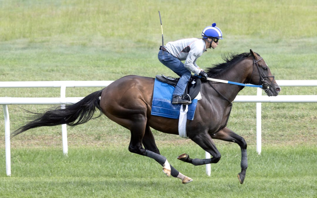 Cogburn works at SAR Aug 12 2024