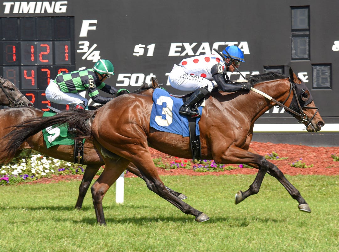 Crystal Quest wins Sophomore Turf at TAM March 24 2024