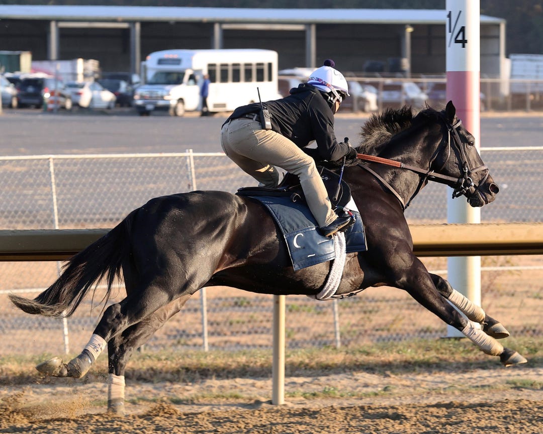 Domestic Product works at BEL Oct 19 2024
