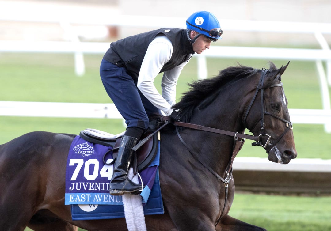 East Avenue trains at DMR Oct 29 2024