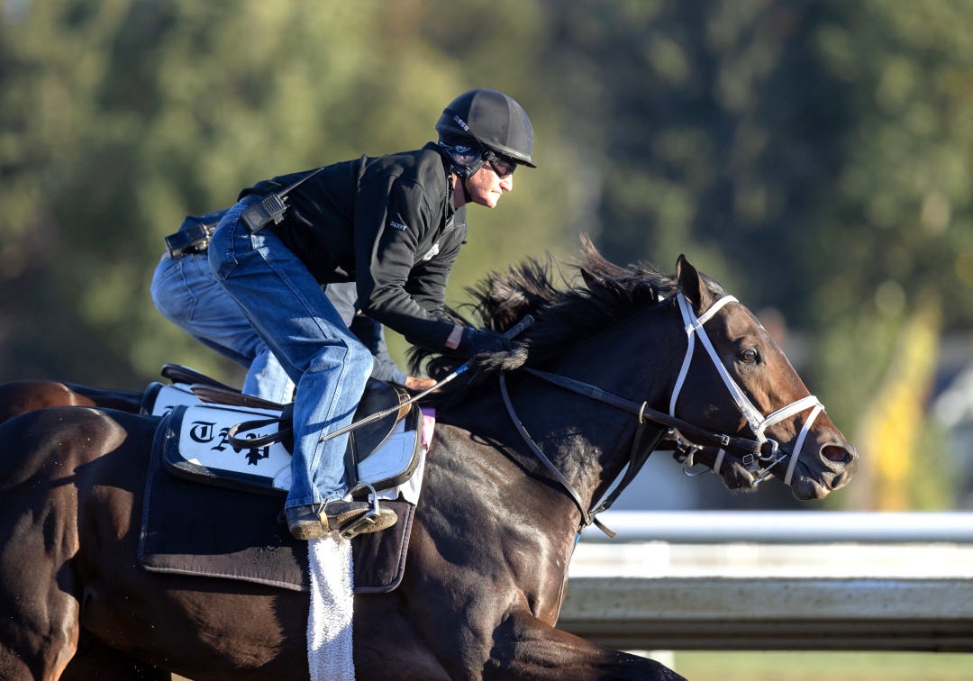 Fierceness works at SAR Oct 10 2024