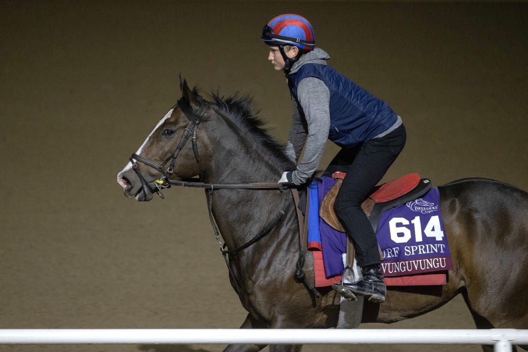 Isivunguvungu trains at DMR Oct 28 2024.BL