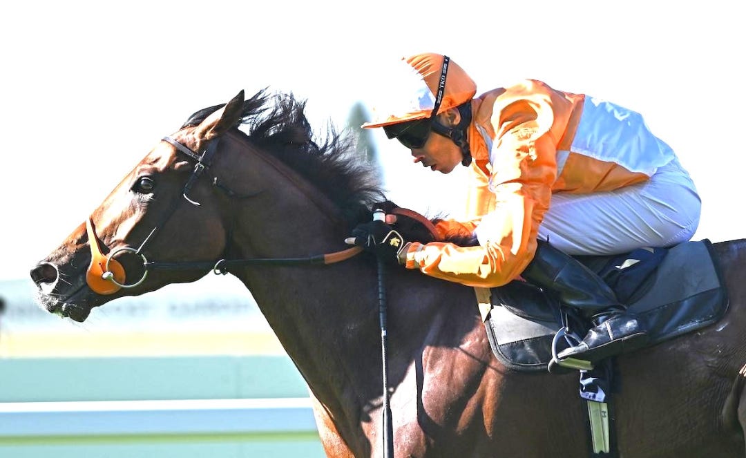 Jayarebe wins Hampton Court at Royal Ascot June 20 2024