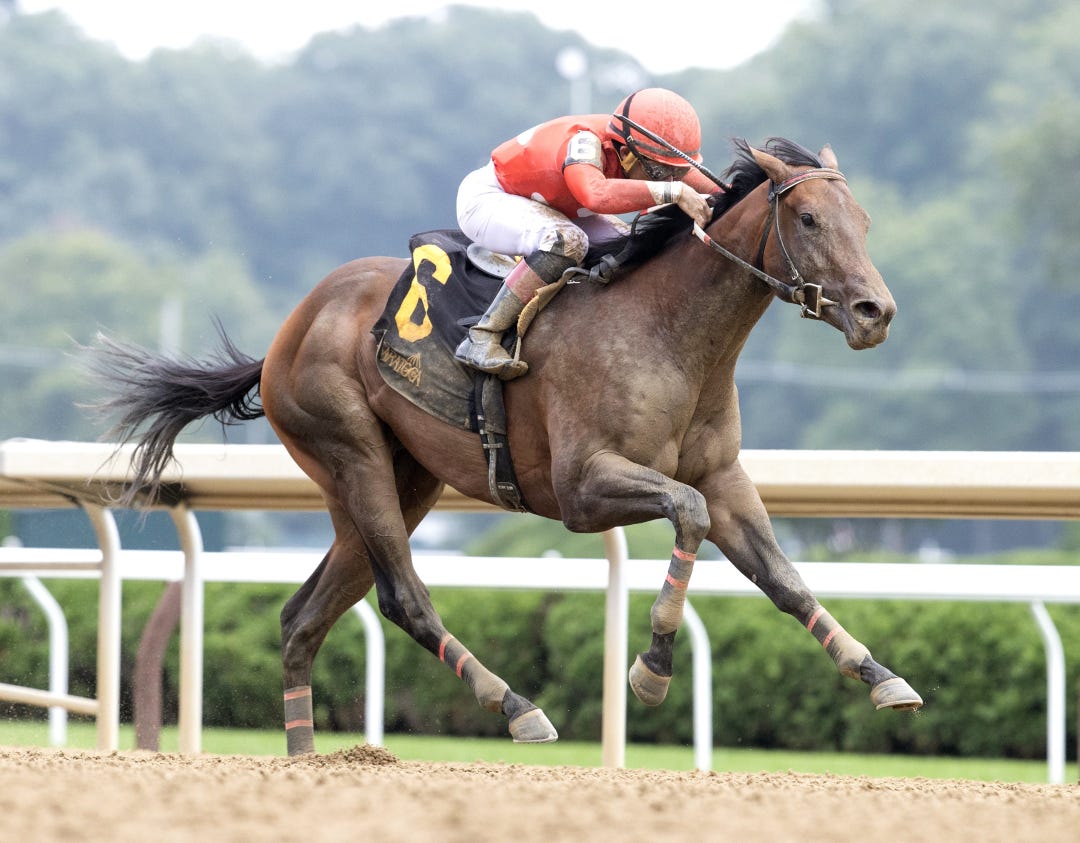 Jonathan's Way wins maiden at SAR Aug 17 2024