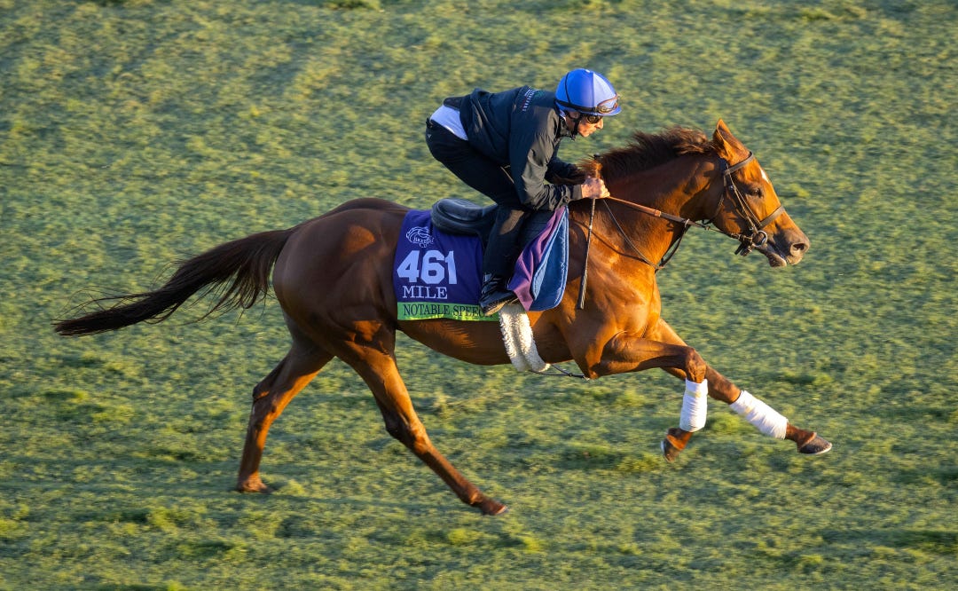 Notable Speech trains at DMR Oct 30 2024