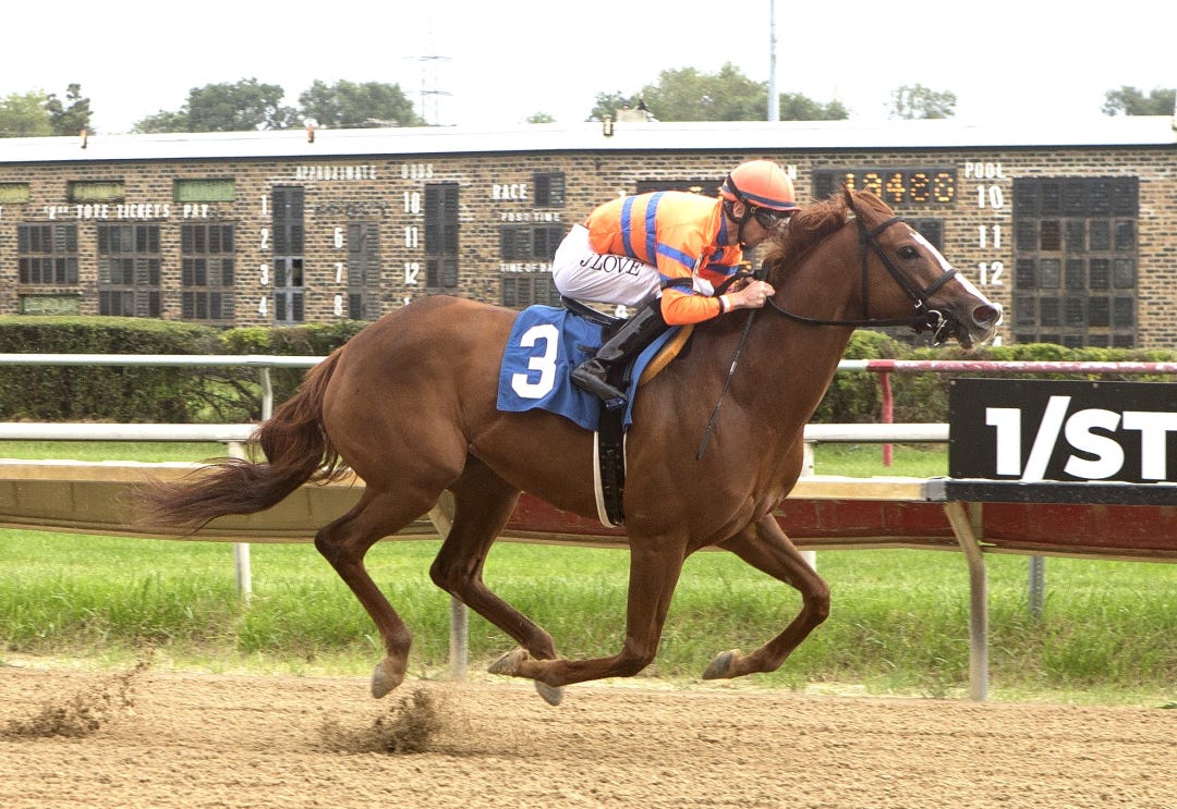 Oeuvre wins Jean Elizabeth Handicap at HAW Sept 29 2024