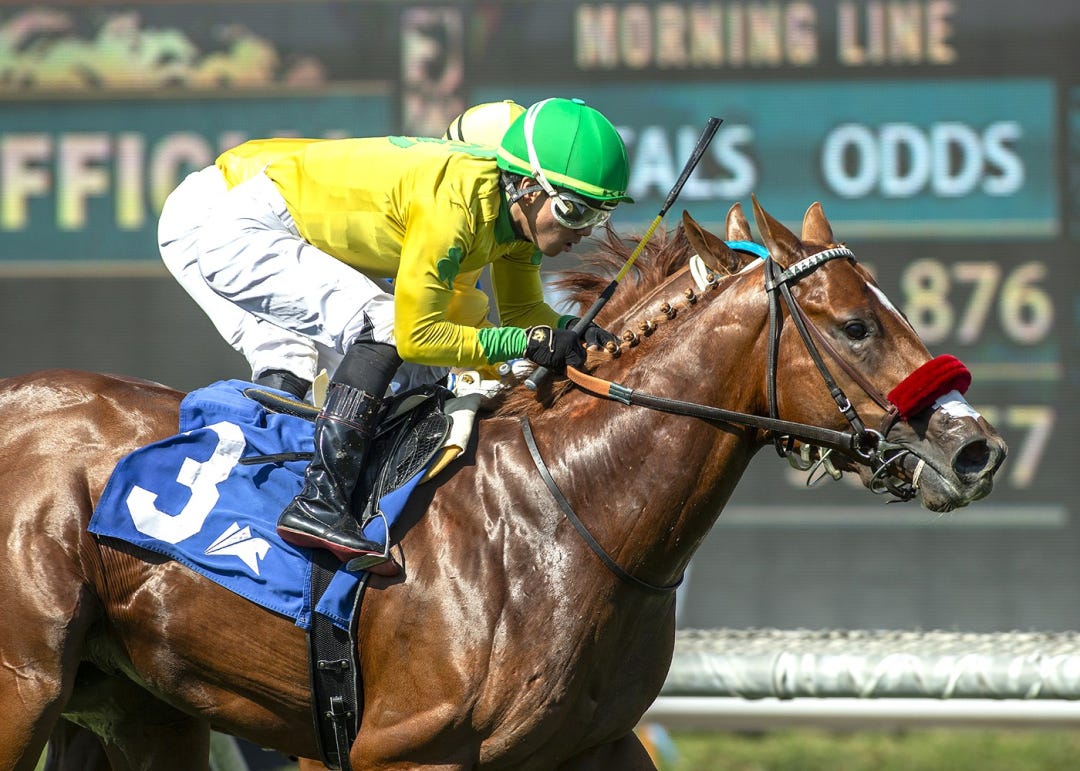 Pali Kitten beats Smash It in Speakeasy at SA Oct 5 2024