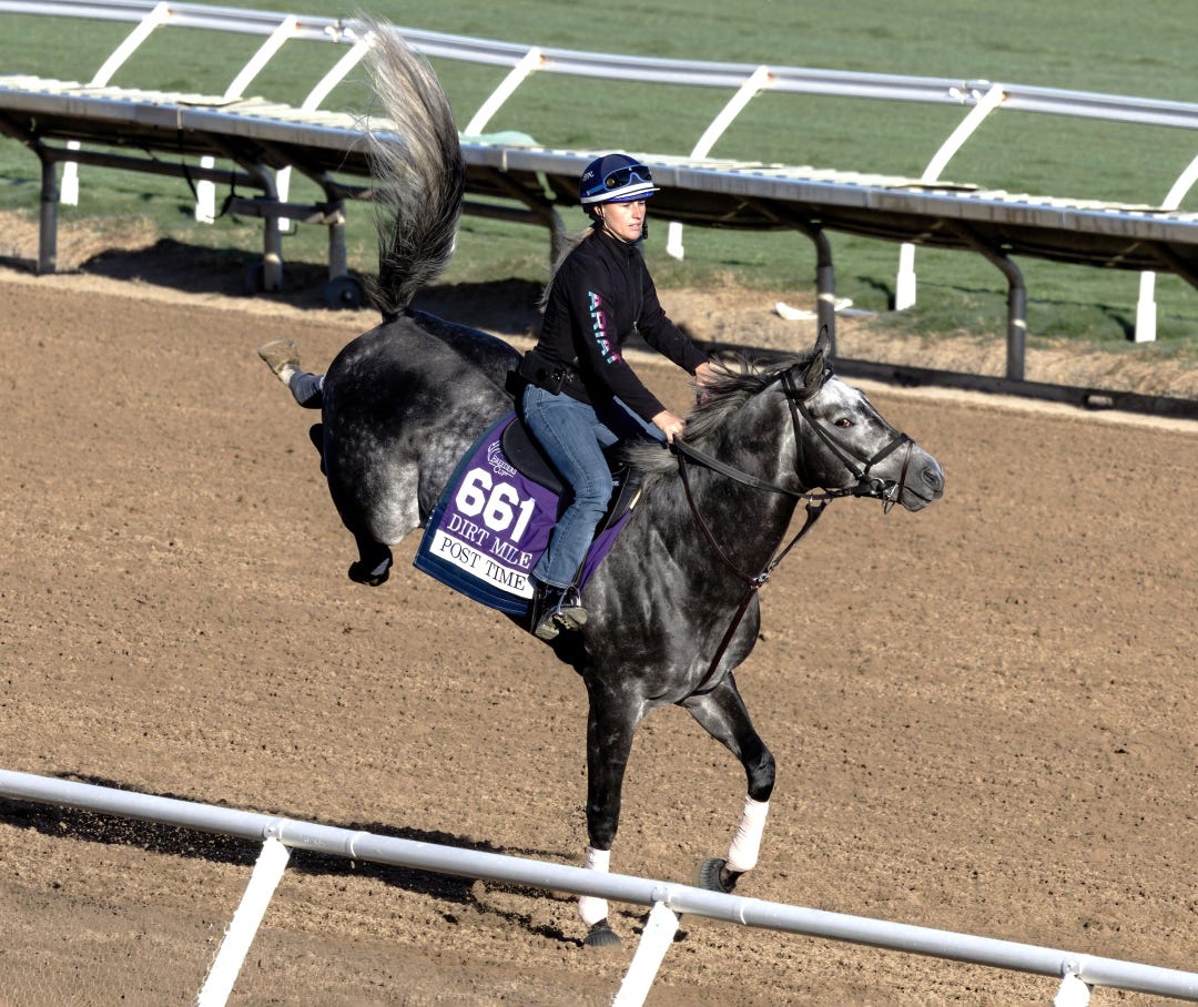 Post Time bucks at DMR Oct 30 2024