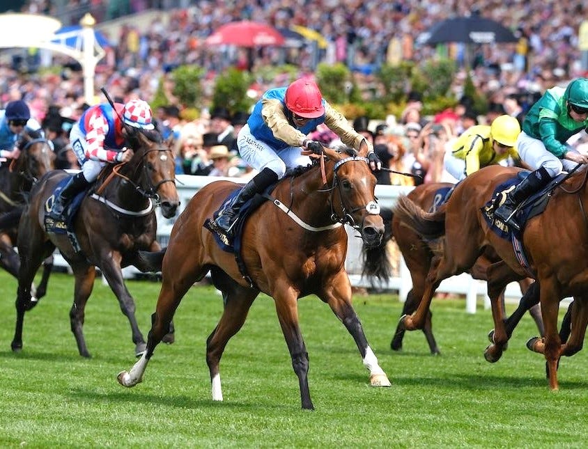 Shareholder wins Norfolk at Royal Ascot June 20 2024