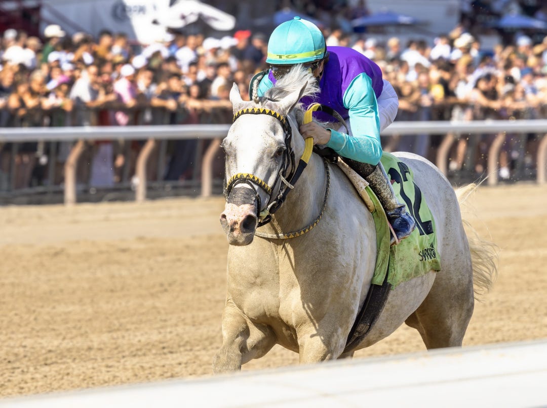 Surveillance wins Troy Stakes at SAR Aug 10 2024