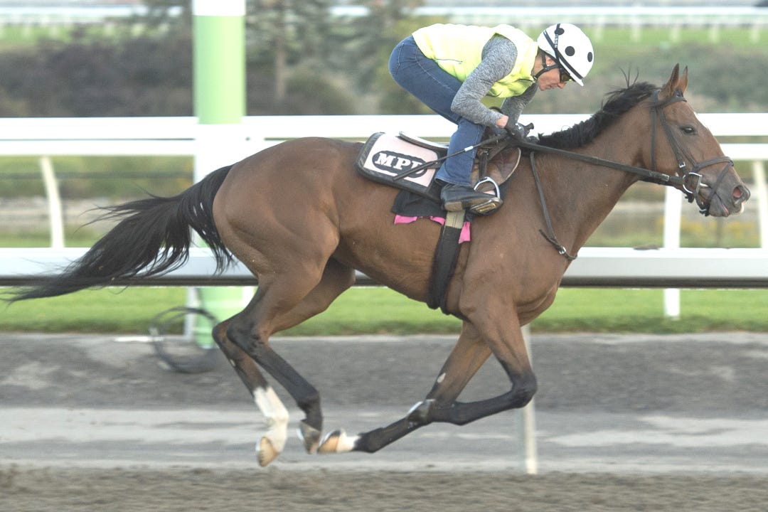 Tito's Calling at WO Sept 28 2023