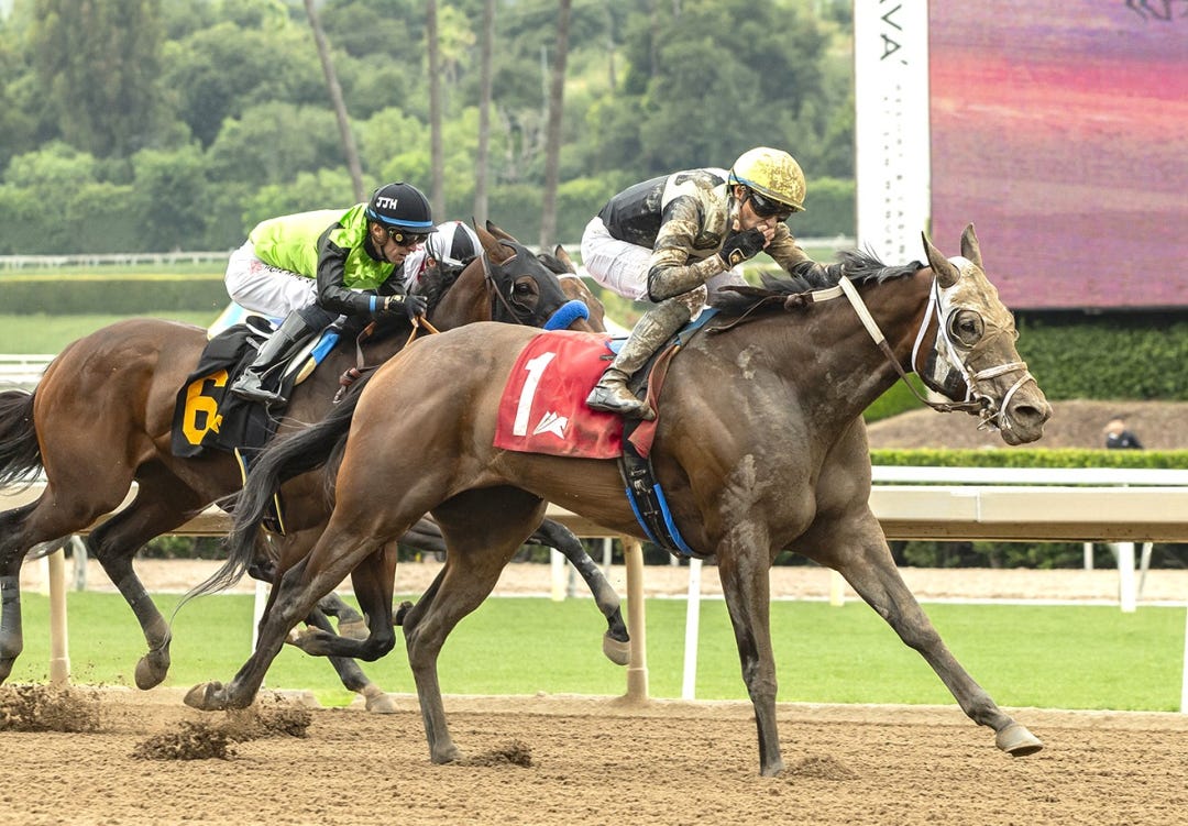 Chismosa wins Desert Stormer at SA June 2 2024