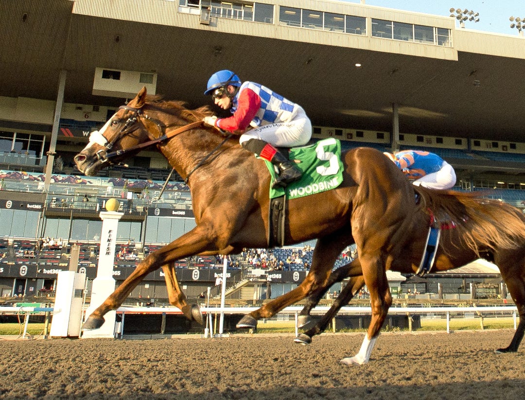 Dresden Row wins Ontario Derby at WO Oct 19 2024