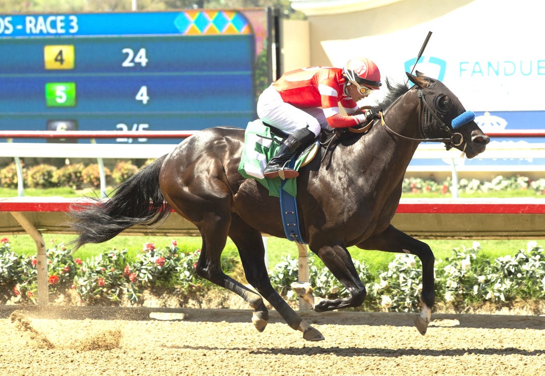 McKinzie Street wins maiden at DMR July 28 2024