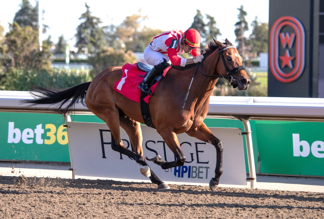 My Sunny Valentine wins at WO Oct 12 2024