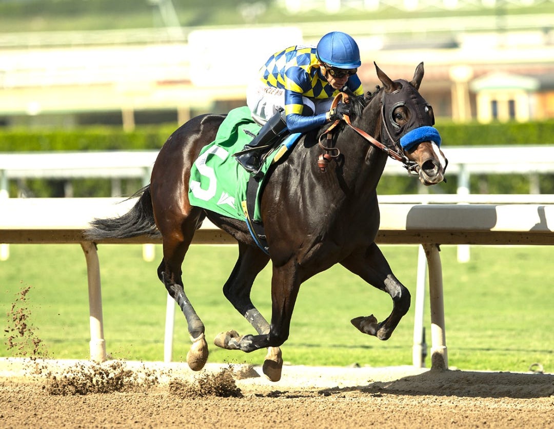 Silent Law wins Anoakia at SA Oct 25 2024
