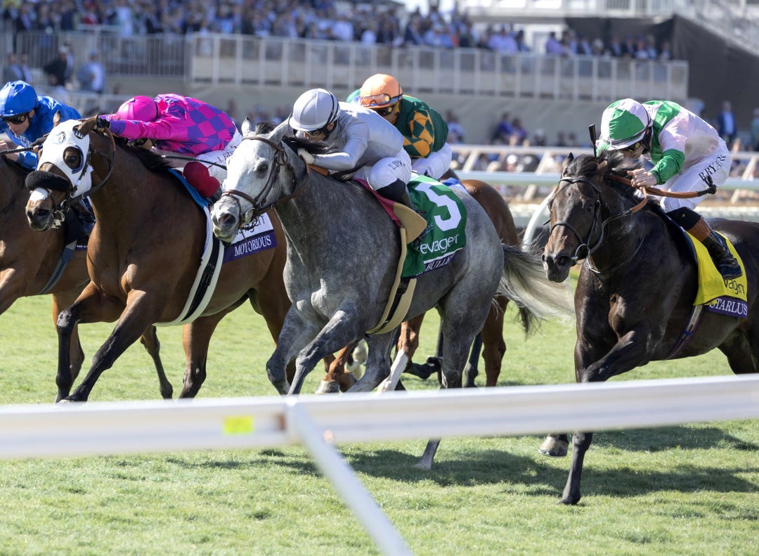 Starlust (right) wins BC Turf Sprint at DMR 11-2-2024