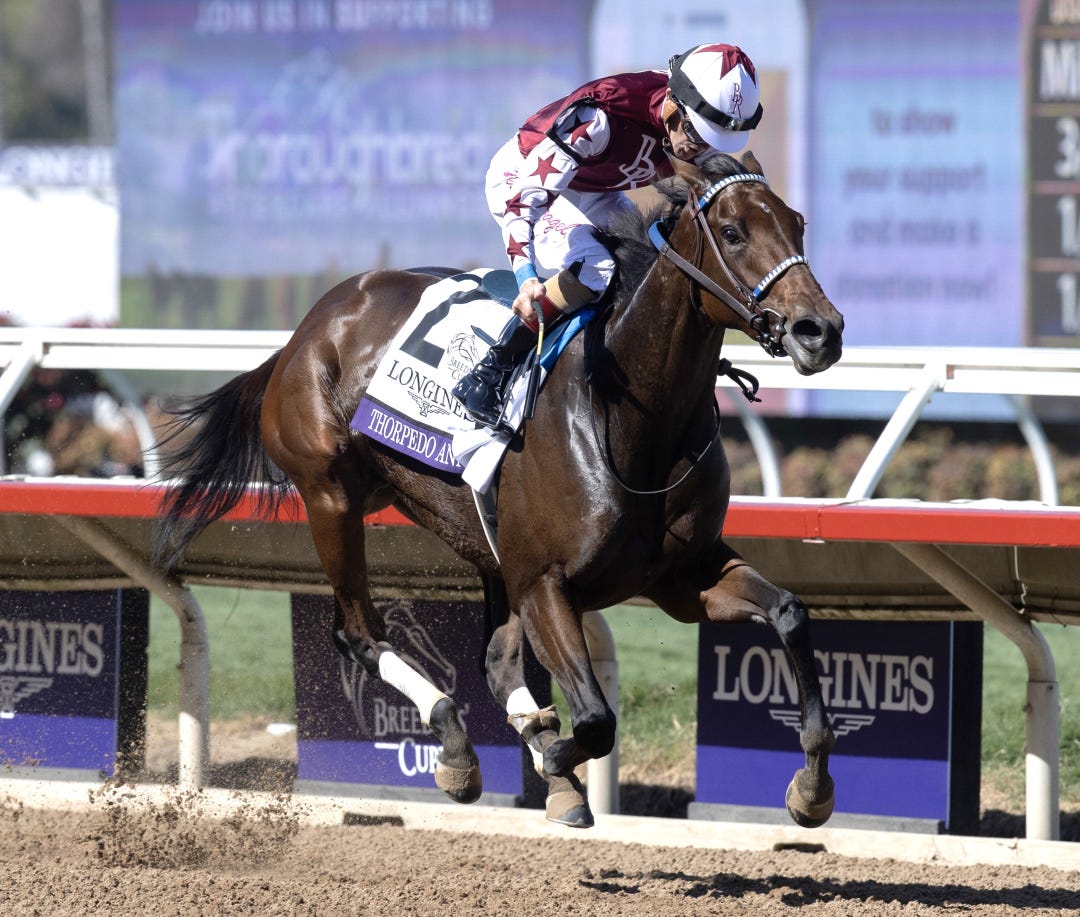 Thorpedo Anna wins BC Distaff at DMR 11-2-2024