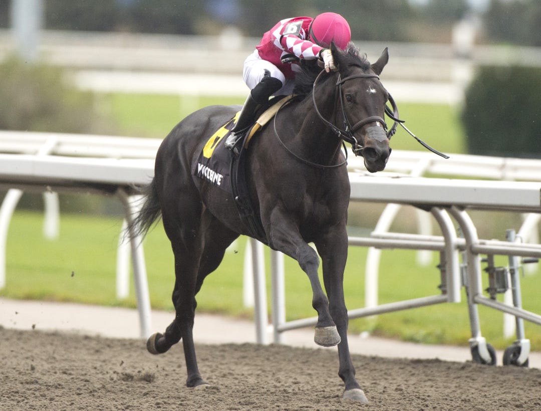 Winterberry wins Glorious Song at WO Oct 13 2024