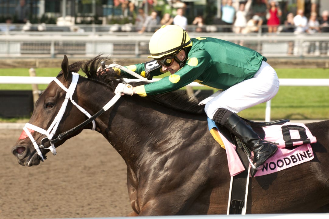 Fashionably Fab wins Ontario Matron at WO Sept 14 2024